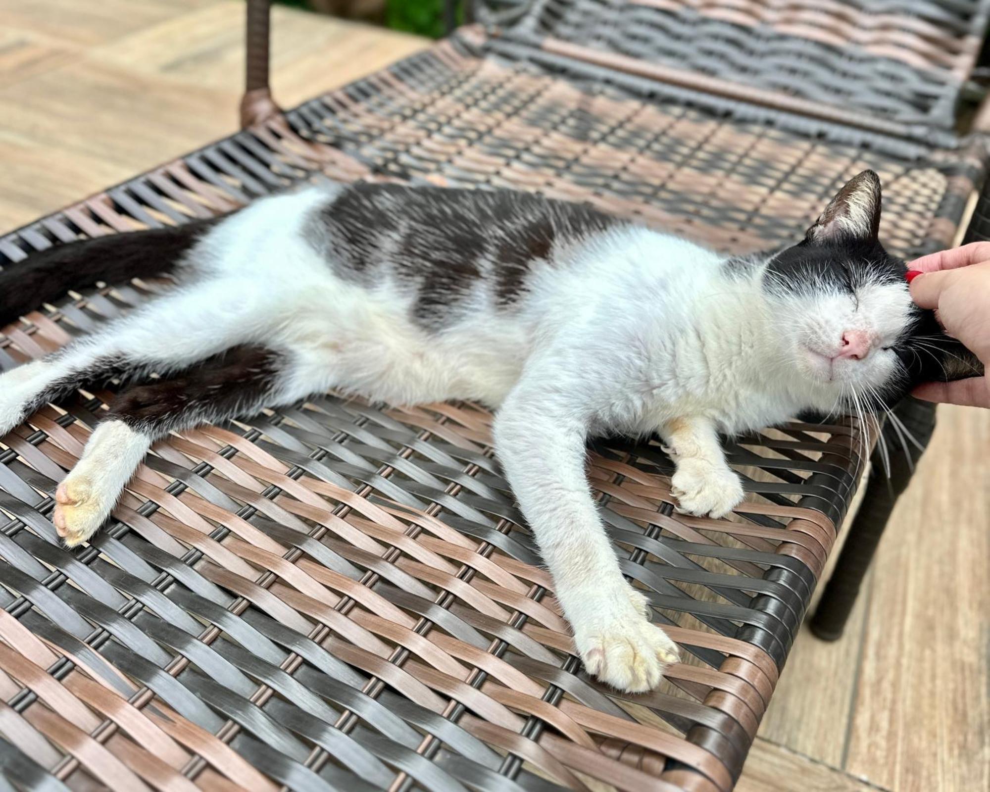 Willa Casa Park Araquari Zewnętrze zdjęcie