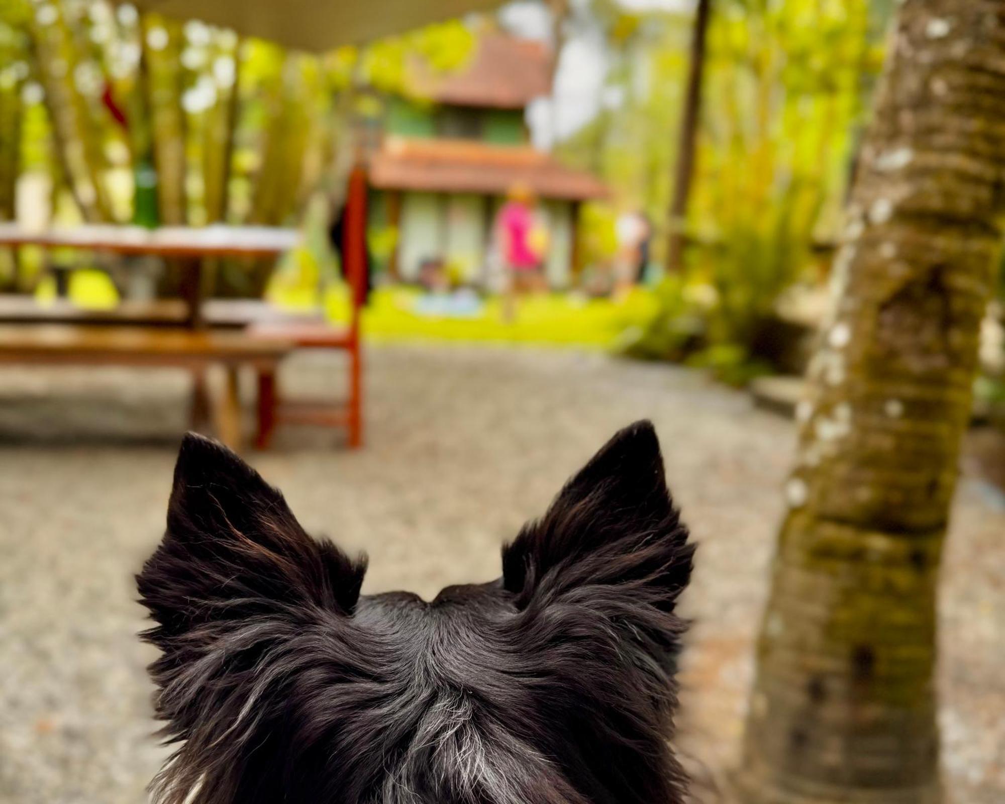 Willa Casa Park Araquari Zewnętrze zdjęcie