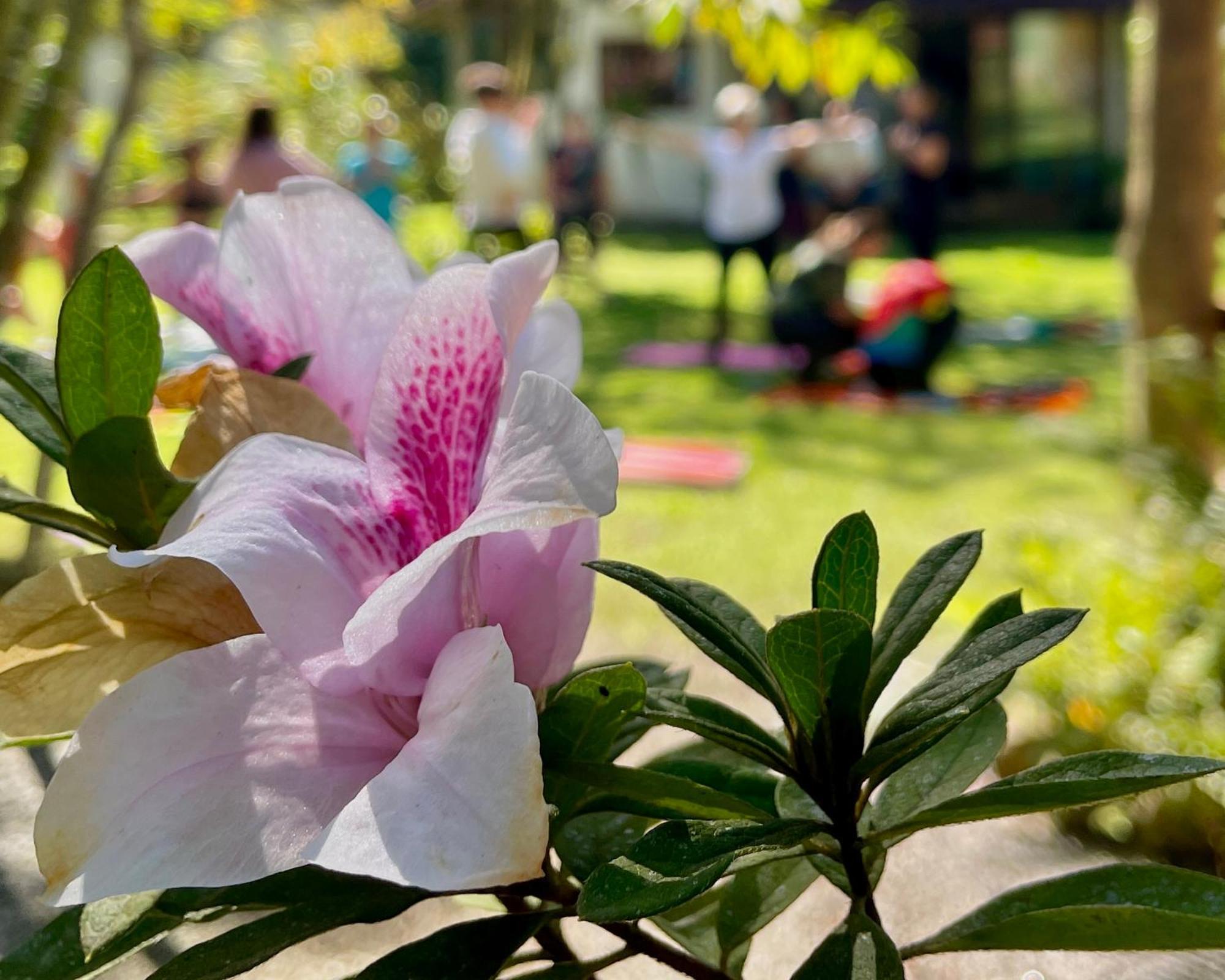 Willa Casa Park Araquari Zewnętrze zdjęcie