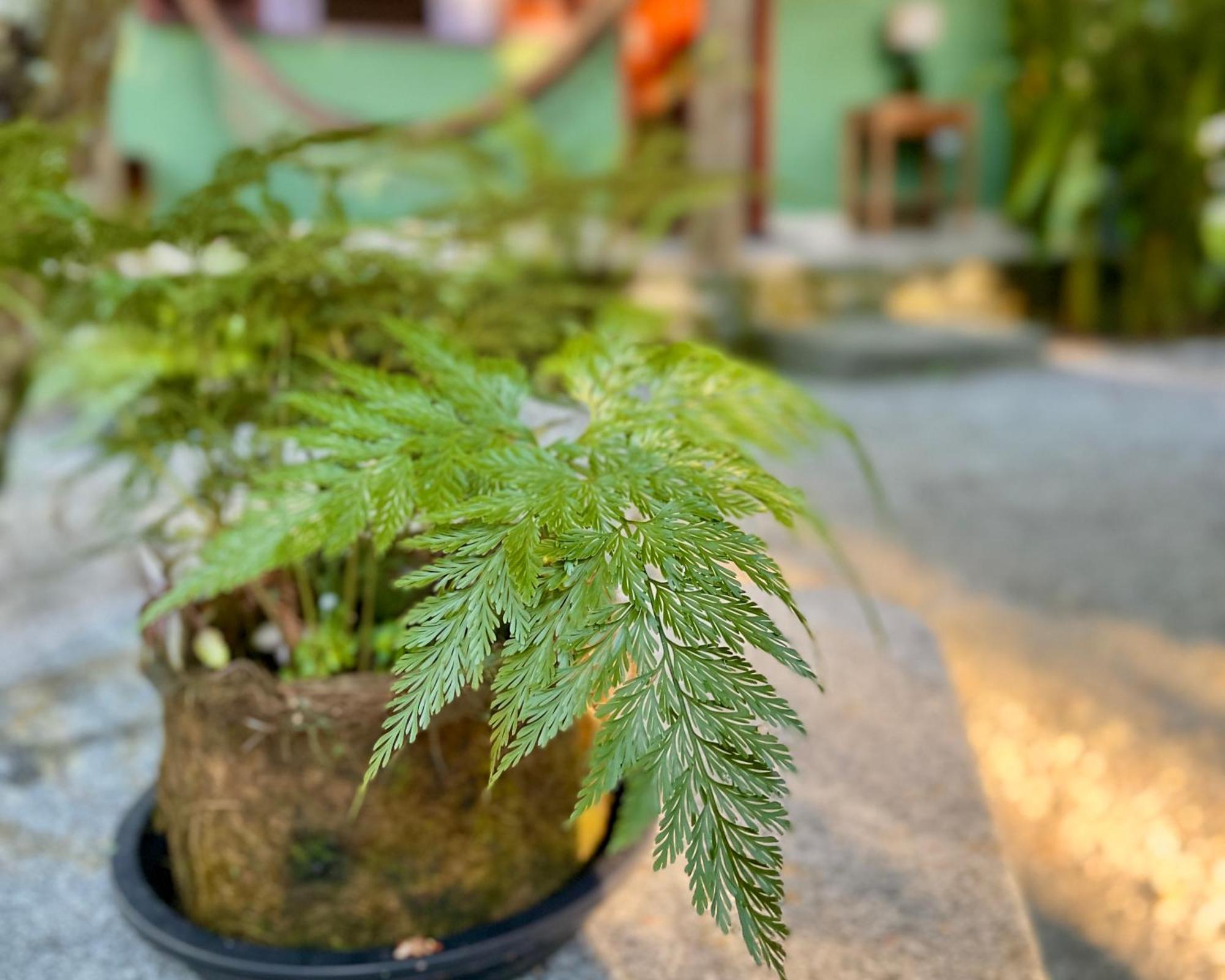 Willa Casa Park Araquari Zewnętrze zdjęcie